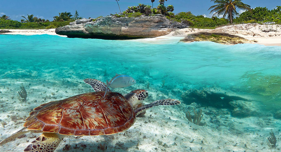 Akumal on the Riviera Maya